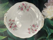 Queen Anne “Country Gardens” of Carnations Embossed Handled Oval Cake Plate 10”