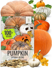 Pumpkin Seeds Specialty Spooky Blend 10+ Varieties | Lumina White, Baby Boo, Blu
