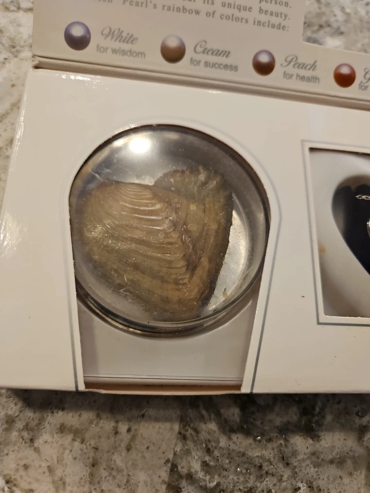 COLLAR COLGANTE CORAZÓN PERLA DESEO PLATA ESTERLINA *NUEVO* Foto 4 de 4