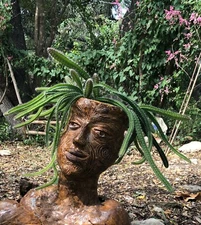 Favorite "Medusa" HEIRLOOM Dog Tail, snake CACTUS Good Vibes