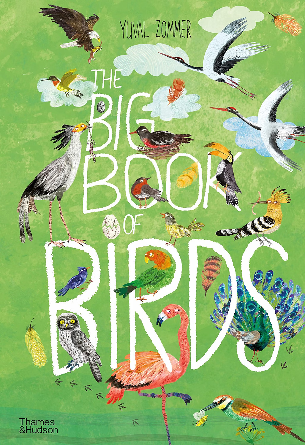 The Big Book of Birds by Yuval Zommer (Hardback Book) - Image 9
