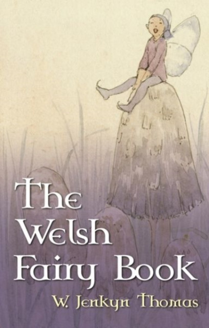 The Welsh Fairy Book 9780708312575 W. Jenkyn Thomas - Free Tracked Delivery