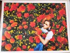 Wizard Of Oz Beautiful Photo Set Of 11 Large Movie Stills 12x15.5 Inches  — photo 9