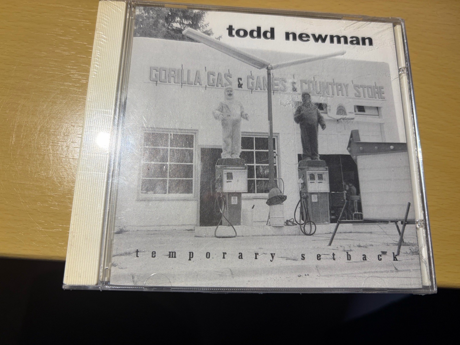Todd Newman "Temporary Setback" cd SEALED