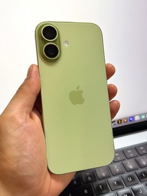 Apple iPhone 17 (100% Batt) Factory Unlocked 256GB Sage / Green #24909