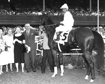 Tommy Lee 1958 Kentucky Derby Winner (Jockey - Billy Shoemaker), 8x10 ...