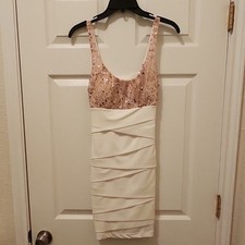 Emerald Sundae Sequin Mesh Ivory Pink Bodycon Dress Scoop Neck M