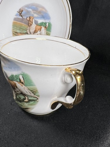 Antique Regency English Springer Spaniel Bone China Teacup & Saucer Rare Set - Picture 4 of 19