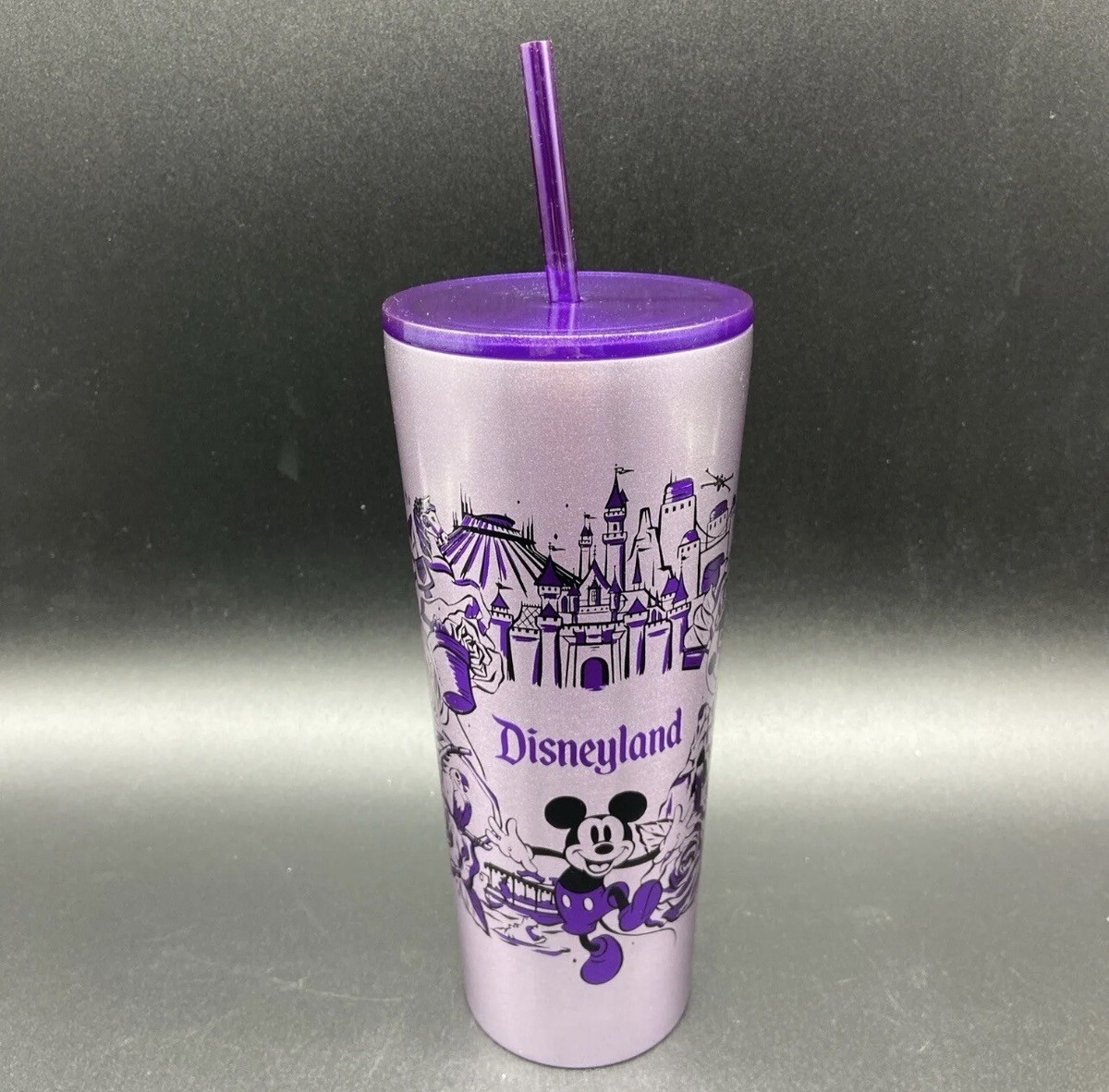 Disneyland Starbucks stainless steel Mickey And Castle Purple