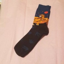Fun Socks /Dino