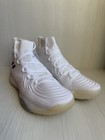 2017 Adidas Crazy Explosive PK (Prime Knit) BY4469 Size: 11