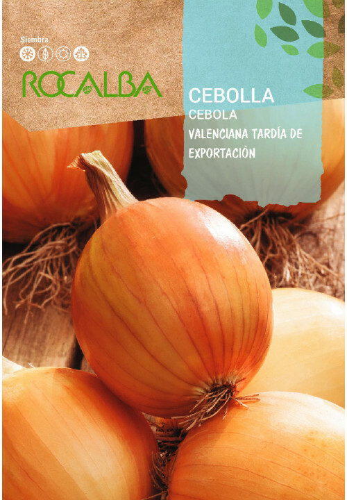 CEBOLLA VALENCIANA TARDIA DE EXPORTACION 4 GRS