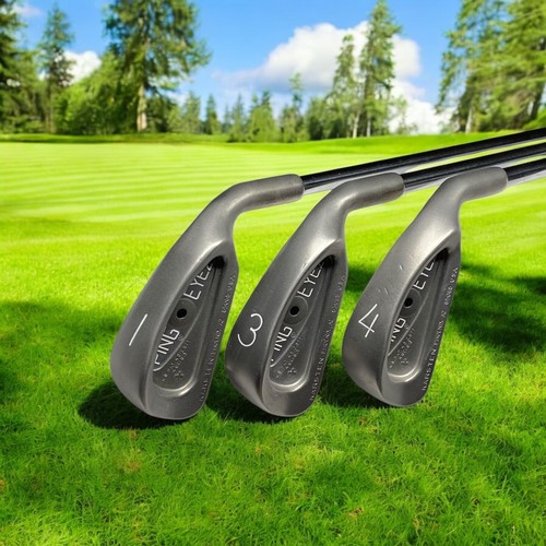 Mens Ping Eye 2 Plus + 1-3-PW-SW Black Dot ZZ Lite Steel Stiff NICE Matching #s - Picture 20 of 22