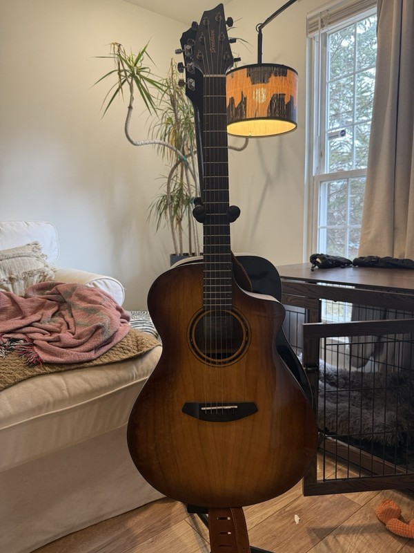 Breedlove Pursuit EX S Concert TE CE Acoustic/Electric Guitar