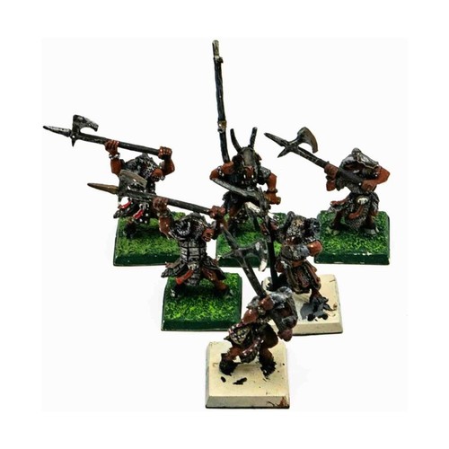 Beastmen Warhammer – Beastlord Metal + Porte-étendard + Bestigor – Peints