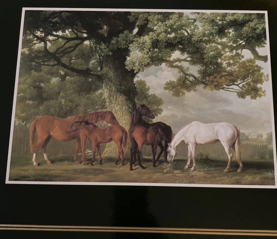 Large Clover Leaf Set of (4) Equestrian Cork Backed Place Mats - 15.5" - Image 2 of 4