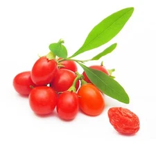 Goji Berry Seeds to Grow - 100+ Seeds - Grow an Exotic Fruit Bearing Tree - So F