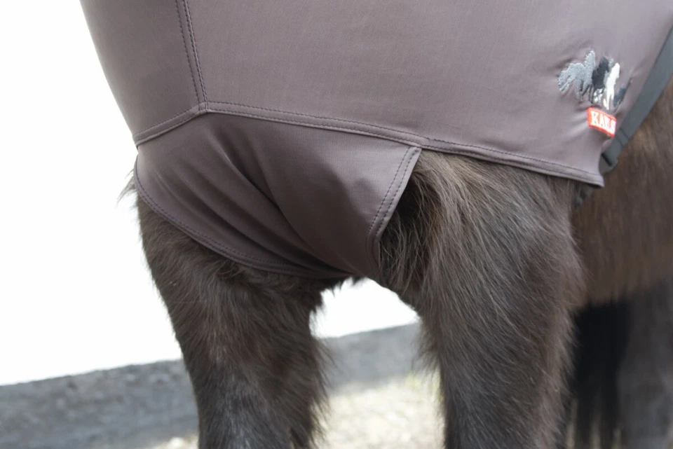 Ekzemdecke flexibel Fliegendecke für Islandpferde Fliegenschutzdecke Isländer - Bild 3 von 4