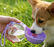 Portable Plastic Dog Water Bottle with Bowl & Carry Strap, Multicolour