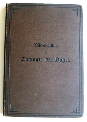 Bilder-Atlas zur Zoologie der Vögel Prof. Dr. William Marshall 1898 HC [322]