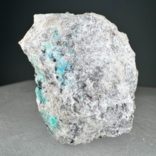 Nice Rich Native Gold & Uytenbogaardtite: Bullfrog Mine, Nye Co., Nevada- Rare!