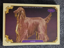 2024 TOPPS ALLEN & GINTER STARS OF THE SHOW DOGS#SOS-26,LOUIS