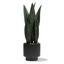 Artificial Plants Sansevieria Snake Plant with Black Ceramic Pot Desk Small