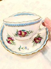 SPODE Trapnel Sprays Cup & Saucer