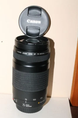 Zoom Canon EF 75-300 mm II - Photo 1/4