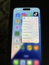 iPhone With TikTok