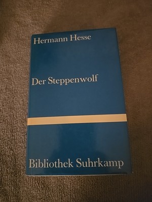 SELTEN 1977 | Der Steppenwolf Hermann, Hesse: | TOP ZUSTAND Buch