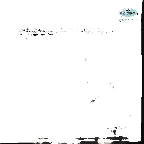 Jerry Reed Vinyl Records