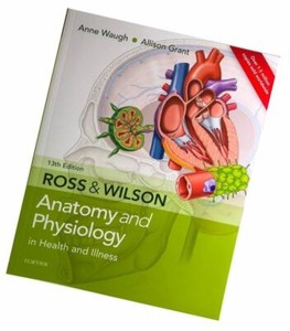 Featured image of post Ross And Wilson Anatomy And Physiology In Health And Illness By Anne Waugh Ross wilson anatomy and physiology in health and illness 12th ed pdftahir 99 vrg