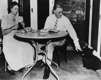 Franklin D Roosevelt Shaking The Paw Of His Scottie Dog 1940 OLD PHOTO