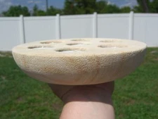 Natural SANDSTONE Seven Tea Light Candle Holder Table Top Patio & More For Sale