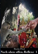 Nach oben offen. Reflexe 1: Tagebuchnotizen by Moritz Pirol (German) Paperback B