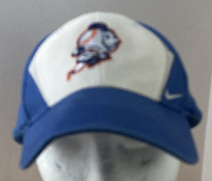 New York Mets Mr Met Cap Hat Nike Flex Blue MLB