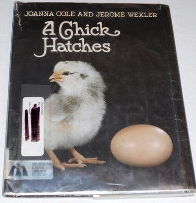 A Chick Hatches