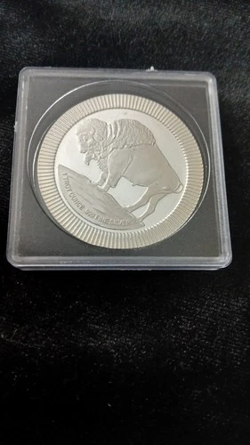 1 oz silver buffalo round
