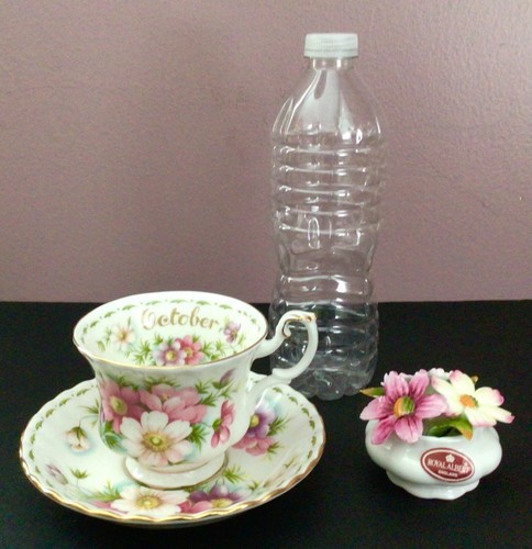 Royal Albert Flor del Mes OCTUBRE Cosmos Taza, Platillo y Ramo de Flores Set - Imagen 23 de 23