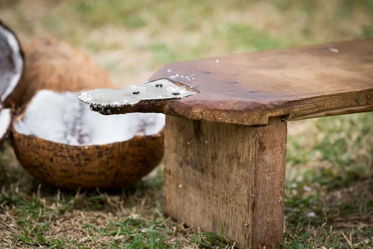 Coconut Grater