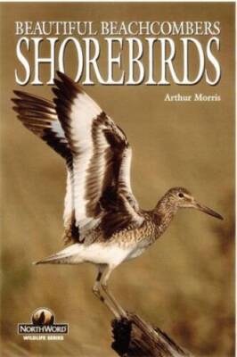 Shorebirds: Beautiful Beachcombers (Northword Wildlife Series) - VERY GOOD