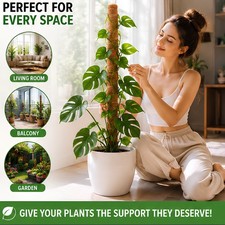 Moss Pole Extendable Moss Pole for Indoor Plants Monstera Cheese Plant S/M/L/XL