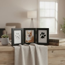 Memorial Picture Frame for Pets - Paw Print Kit - Remembrance for Dogs Cats...