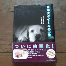The Life of Guide Dog Quill Ryohei Akimoto Kengo Ishiguro Bungeishunju