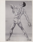 1937 Press Photo Gay Artist Hubert Stowitts Nude Sketch of Athlete Ken Carpenter — photo 1