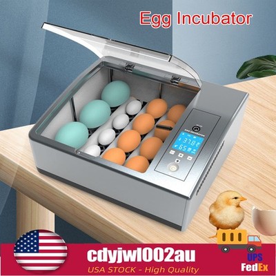 16 Chicken Egg Incubator Fit Hatching Eggs with Automatic Turner Temp Control US