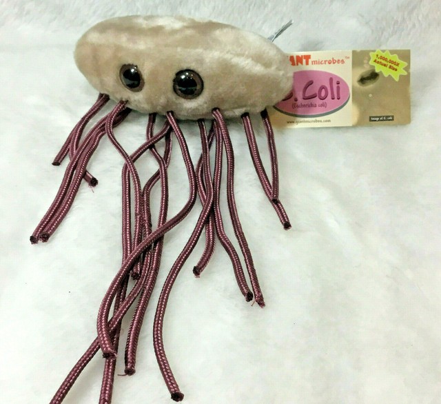 Giant Microbe Microbes E Coli Plush Stuffed Animal Germ NWT Science | eBay