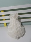 Afbeelding 2 van 3