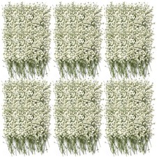 50 Pcs Mini Dried Babys Breath Flowers Pressed Babys Breath Ivory White Dried